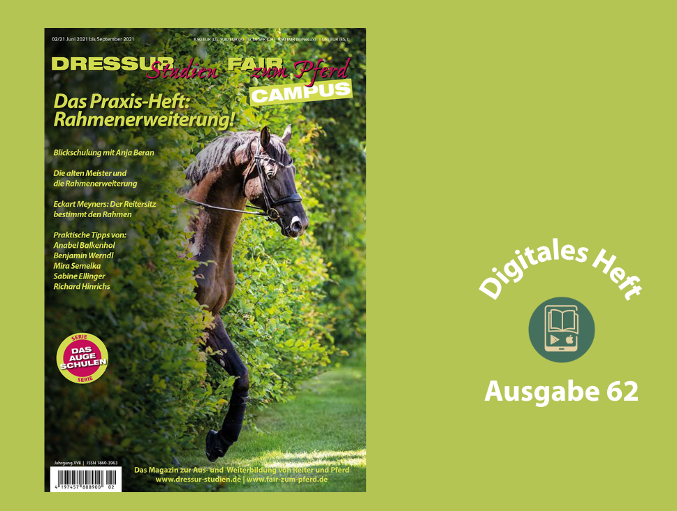 Ein gezäumtes Pferd schaut hinter einer Hecke hervor