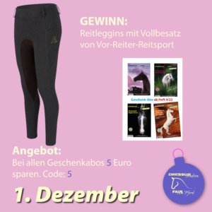 Foto der zu gewinnenden Reithose