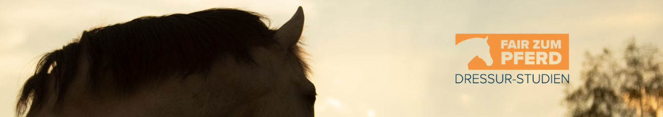 Dressur-Studien