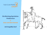 FzP-Campus-Aufzeichnung: Die Working Equitation-Hindernisse 2: Zwei und drei Tonnen