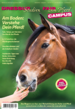 Am Boden: Verstehe Dein Pferd!