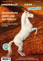 Titelbild mit einem steigenden Pferd
