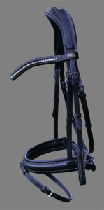 EssenceTrenseAnatomic