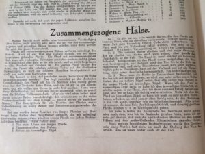 Seite 1 des Artikels aus dem St. Georg aus dem Jahr 1925