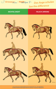 Unser Poster "Das Auge schulen"