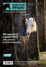 Pferd, das zwischen Bäumen steht.