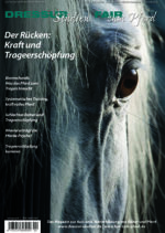 Der Rücken: Zwischen Kraft und Trageerschöpfung