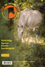 Pferd steht in einem Wald und grast: Mr.P.