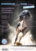 Gymnastizieren mit Stangen, Cavaletti & Co.