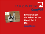 FzP-Campus-Video mit Anja Beran: Die Arbeit an der Hand, Teil 2