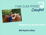 FzP-Campus-Video mit Katrin Obst: Akupressur beim Pferd