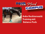 FzP-Campus: Trainieren mit Balance Pads