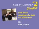 FzP-Campus-Video: So tickt das Pferdehirn!