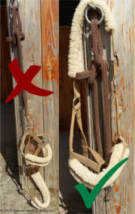 Halfter und Strick richtig aufhängen, Unfallgefahr minimieren.