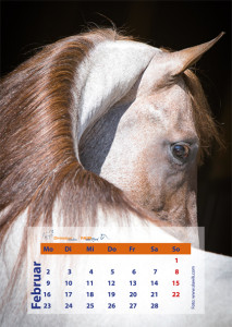 kalender_2015_vekt_01cs55.indd