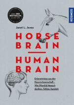 Horse Brain | Human Brain: Erkenntnisse aus der Neurowissenschaft