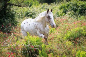 Foto: www.slawik.com