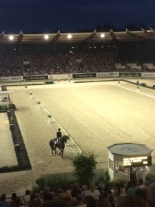 Blick von der neuen Tribüne ins Dressurstadion. 