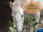 FzP-Campus-Video: "Ideale Winterfütterung - Notwendigkeiten und Mythen" mit Conny Röhm