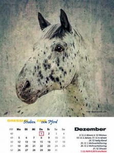 DS_Kalender_2016_02.indd