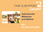 FzP-Campus-Video mit Dr. Diana Krischke: Gebisskunde: Wirkweise und Mythen