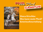 FzP-Campus: Exterieurbeurteilung: Was kann mein Pferd?