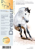 Die diagonalen Hilfen