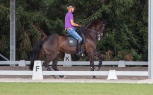 Und tatsächlich: Ein Pferdekopf lässt sich so eng an den Hals ziehen. Edward Gal, Glocks Undercover. Foto: Friederike Fründ
