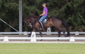 Sprung für Sprung zusammengeknallt - pardon - mit Low-Deep-Round trainiert. Edward Gal, Glocks Undercover. Foto: Friederike Fründ