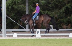 Edward Gal, Glocks Undercover. Foto: Friederike Fründ