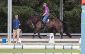 Edward Gal, Glocks Undercover. Foto: Friederike Fründ