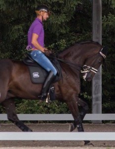 Der Kopf bis auf die Brust gezogen, die Reiterhände nach hinten gepresst: Glocks Undercover wird "trainiert"... Foto: friederike Fründ