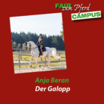 FzP-Campus mit Anja Beran: Den Galopp entwickeln