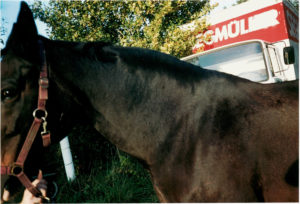 hals_neun_monate_danach10