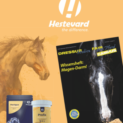 Logo von Hestevard und Titelbild des "Wissensheft Magen-Darm"