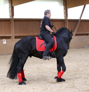 heuschmann_jr_130610_002