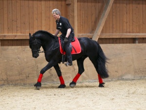 heuschmann_jr_130610_018