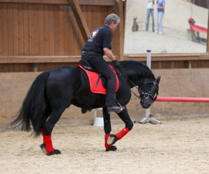 heuschmann_jr_130610_032