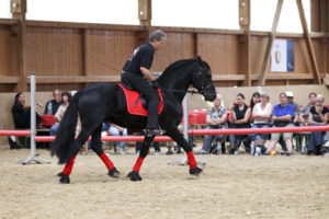 heuschmann_jr_130610_036