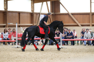 heuschmann_jr_130610_038