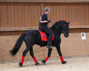 heuschmann_jr_130610_041