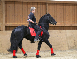 heuschmann_jr_130610_050