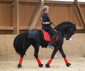 heuschmann_jr_130610_052