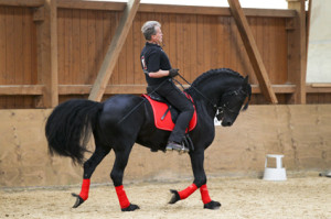 heuschmann_jr_130610_053