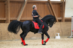 heuschmann_jr_130610_054