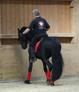 heuschmann_jr_130610_090