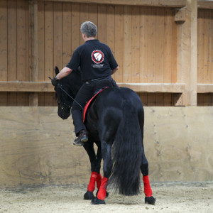 heuschmann_jr_130610_094