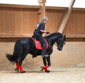 heuschmann_jr_130610_101