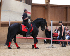 heuschmann_jr_130610_109