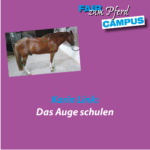 FzP-Kurz-Campus: Das Auge schulen 2